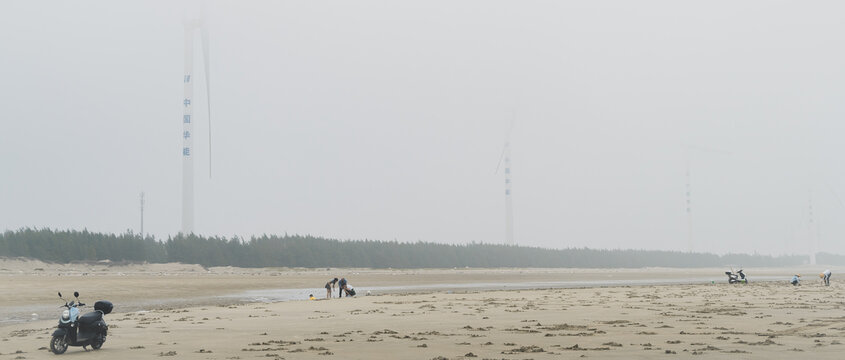 湛江南三島最新新聞報道，湛江南三島最新新聞動態(tài)速遞