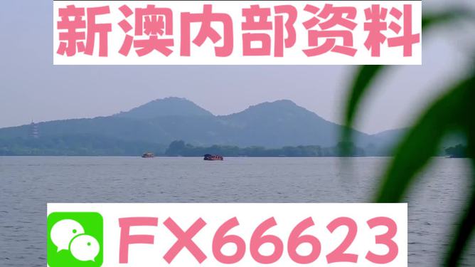 新澳2024正版資料免費(fèi)公開，探索與啟示，新澳2024正版資料探索與啟示，免費(fèi)公開內(nèi)容揭秘