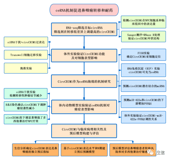 新奧精準資料免費提供綜合版,完整機制評估_yShop44.684