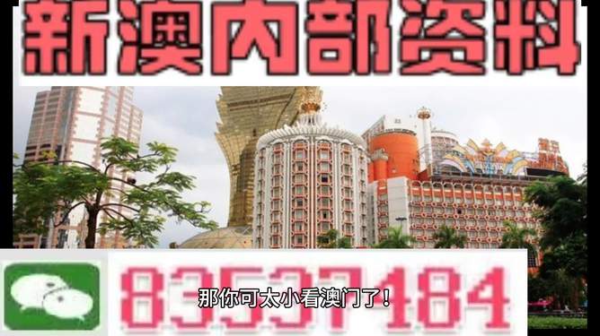 澳門(mén)內(nèi)部資料精準(zhǔn)大全2023——警惕違法犯罪風(fēng)險(xiǎn)，澳門(mén)內(nèi)部資料精準(zhǔn)大全背后的風(fēng)險(xiǎn)，警惕違法犯罪威脅 2023年警惕篇