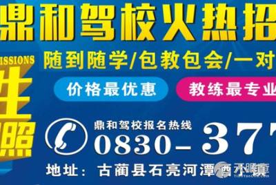 龍崗坑梓最新招聘司機(jī)信息，探索職業(yè)發(fā)展的無限可能，龍崗坑梓最新司機(jī)招聘信息，職業(yè)發(fā)展的無限機(jī)遇探索