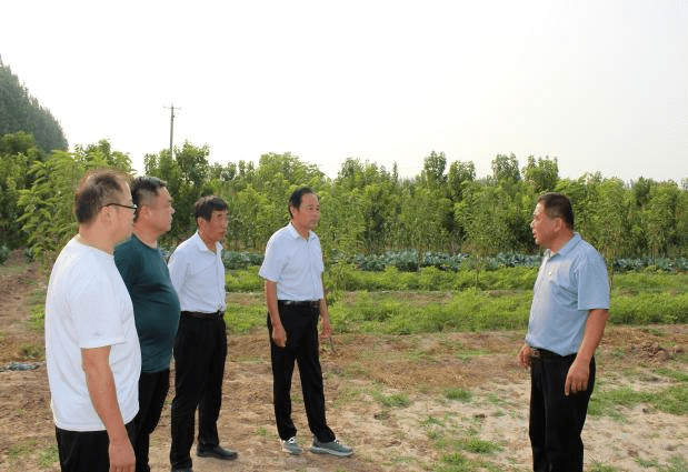 館陶合作社最新消息，推動農(nóng)業(yè)現(xiàn)代化與地方經(jīng)濟繁榮的新動力，館陶合作社最新動態(tài)，推動農(nóng)業(yè)現(xiàn)代化與地方經(jīng)濟繁榮的新引擎