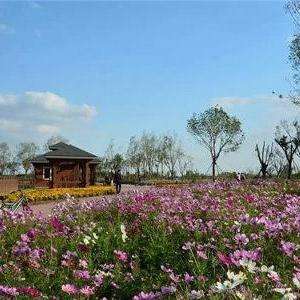 官港森林公園最新消息，官港森林公園最新動(dòng)態(tài)報(bào)道