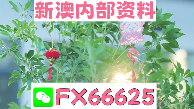 狀元紅97049精準資料，探索與解讀，狀元紅97049精準資料深度解讀與探索