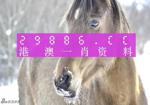 最準(zhǔn)一肖一碼100%澳門,連貫方法評估_suite19.947