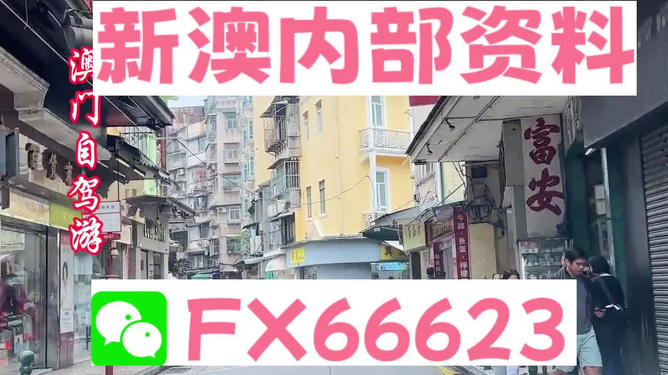 新奧精準(zhǔn)免費(fèi)資料提供，探索與啟示，新奧精準(zhǔn)免費(fèi)資料探索，啟示與分享