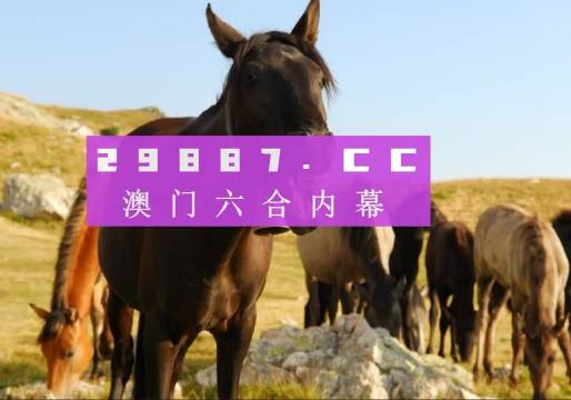 澳門管家婆資料正版大全——探索2023年的全新視界，澳門正版管家婆資料大全，2023年全新視界探索