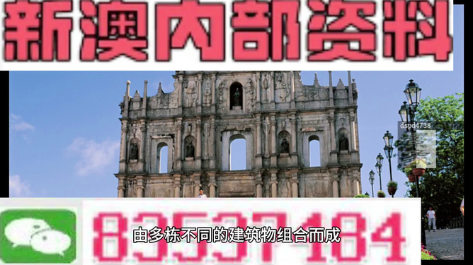 揭秘2024新澳精準(zhǔn)資料大全背后的真相——警惕潛在風(fēng)險與違法犯罪問題，揭秘2024新澳精準(zhǔn)資料背后的真相，風(fēng)險與犯罪警示