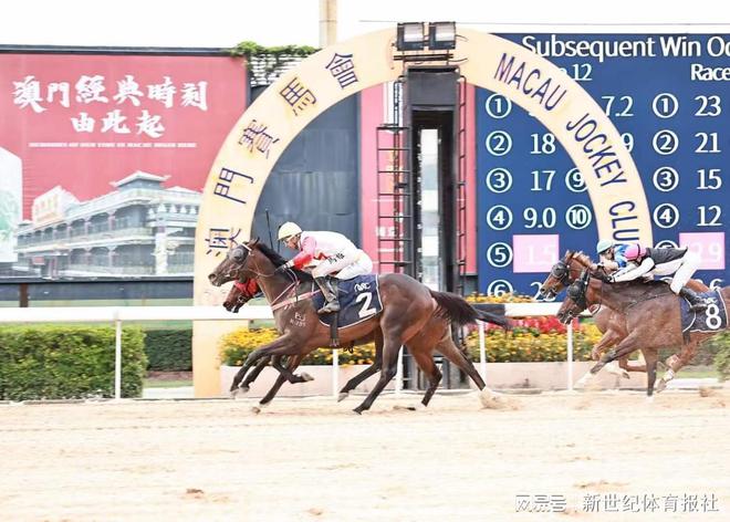 澳門賽馬會，歷史、文化與競技的交融，澳門賽馬會，歷史、文化與競技的璀璨交融