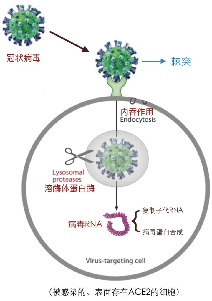 星河探險(xiǎn) 第4頁