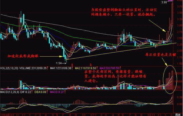 揭秘未來(lái)潛力股，2025年有望翻十倍的股票，揭秘未來(lái)十倍潛力股，展望2025年的翻倍機(jī)會(huì)