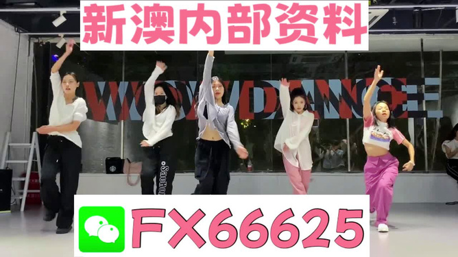 2024年新奧天天精準(zhǔn)資料大全詳解，2024年新奧天天精準(zhǔn)資料大全詳解手冊