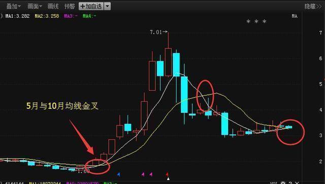 揭秘2024年有望翻十倍的低價股，投資新機遇與挑戰(zhàn)，揭秘未來潛力低價股，投資新機遇與挑戰(zhàn)，2024年有望翻十倍增長潛力股解析