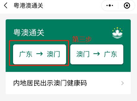 澳門碼資料與違法犯罪問題，澳門碼資料與違法犯罪問題探究