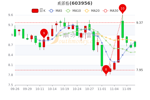 威派格9.88%最新消息全面解析，威派格最新動態(tài)解析，9.88%消息一覽無余