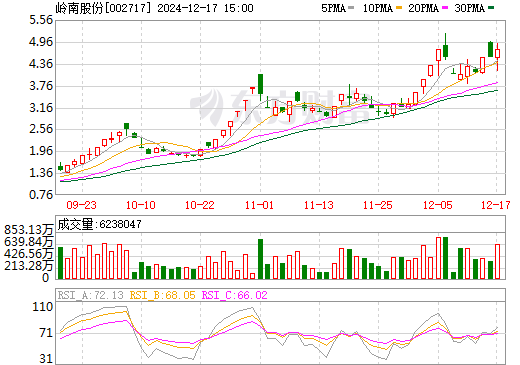 嶺南股份的麻煩事，挑戰(zhàn)與機(jī)遇并存，嶺南股份面臨挑戰(zhàn)與機(jī)遇并存的發(fā)展局面