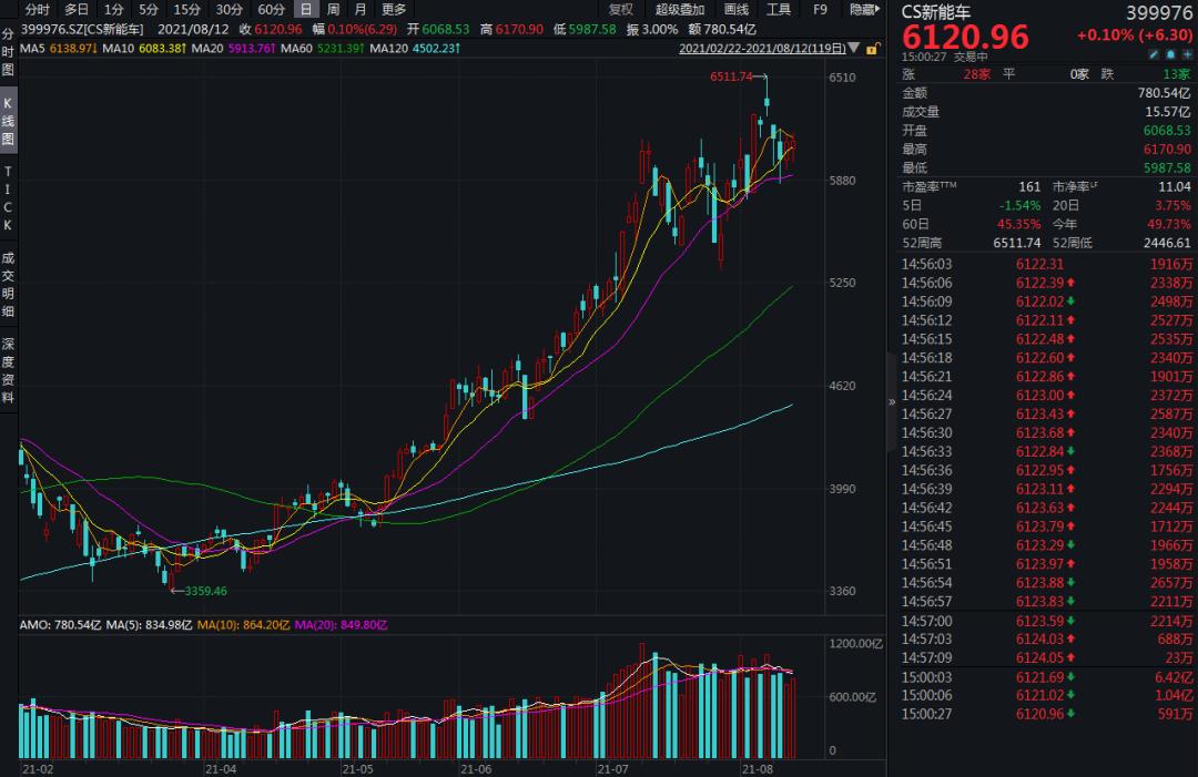 新能源股票最新動(dòng)態(tài)，投資趨勢(shì)與市場(chǎng)展望，新能源股票最新動(dòng)態(tài)與投資趨勢(shì)展望，市場(chǎng)展望及策略分析