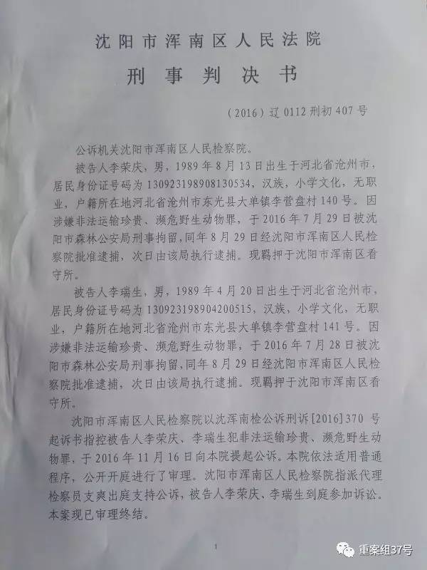 渾南地區(qū)最新判刑情況分析，渾南地區(qū)最新判刑情況深度解析