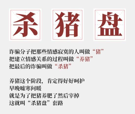 最新殺豬盤照片揭示，金融欺詐背后的真相與警示，金融欺詐背后的真相揭示，殺豬盤最新照片警示與警示信息