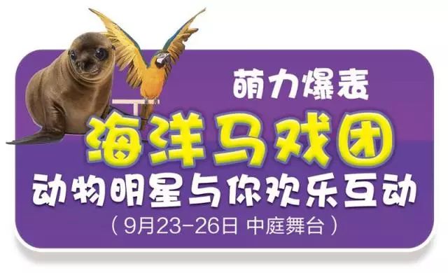 新澳門天天開獎(jiǎng)資料大全與違法犯罪問題，澳門彩票資料與違法犯罪問題探討