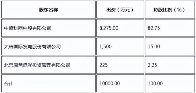 大唐集團存在大額關注類擔保情況，分析與探討，大唐集團大額關注類擔保情況深度分析與探討