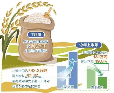 泰國大米價(jià)格下跌1-3%，市場(chǎng)趨勢(shì)、影響因素及未來展望，泰國大米價(jià)格下滑趨勢(shì)分析，市場(chǎng)趨勢(shì)、影響因素及未來展望