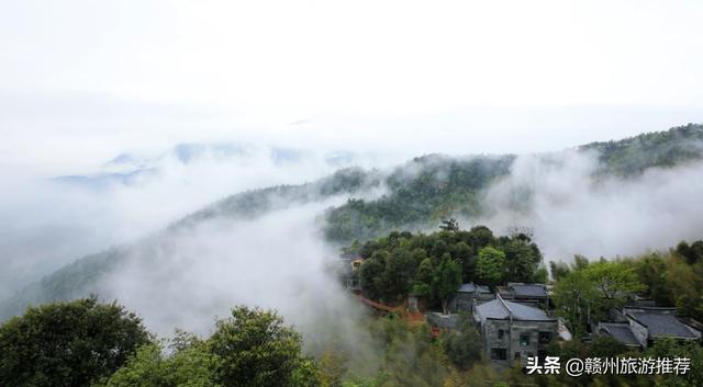 最新云想山，自然之美與科技之力的完美結(jié)合，云想山，自然與科技完美交融之美