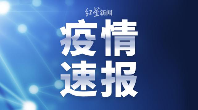 湖南最新肺炎確診情況分析，湖南最新肺炎疫情確診情況分析