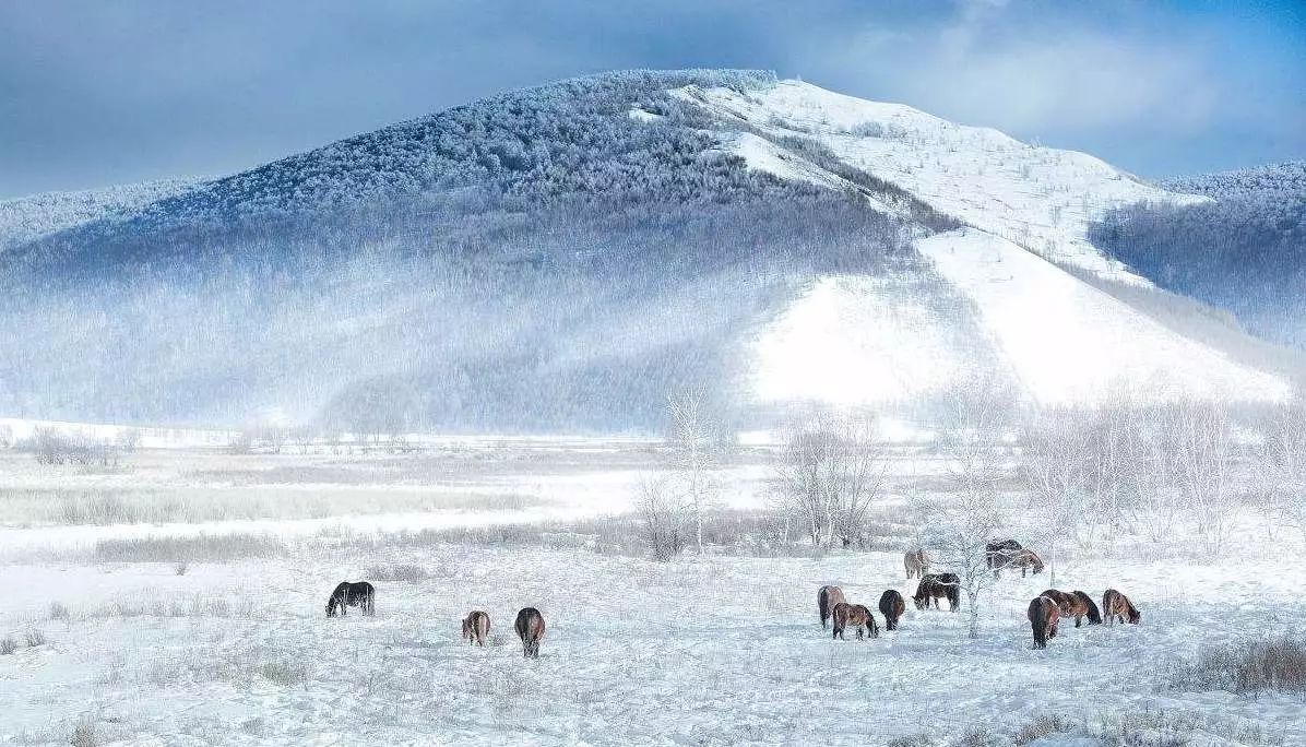 國內(nèi)哪里雪景最美——探尋中國最美的雪景勝地，中國最美的雪景勝地探尋之旅