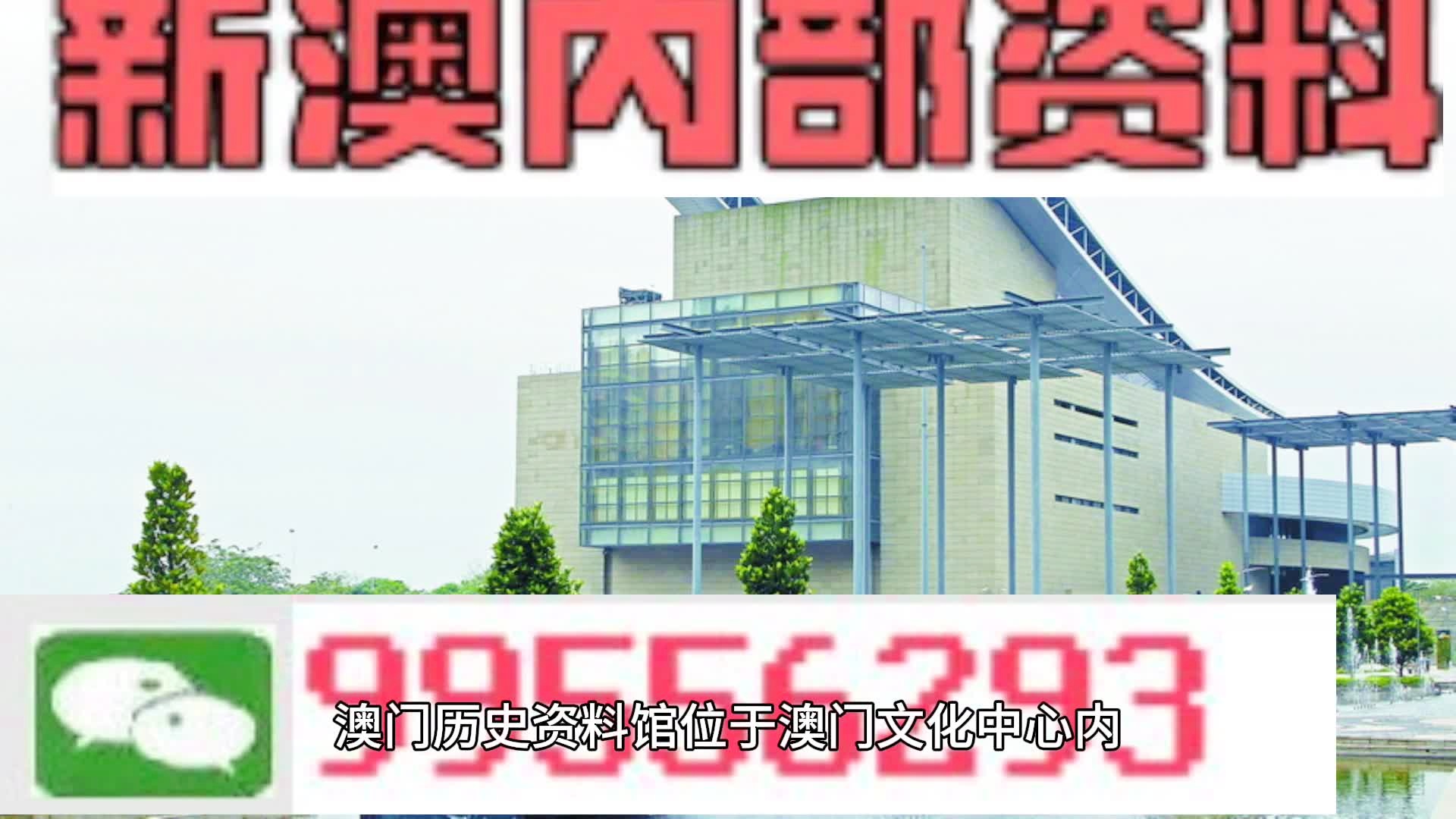 關于澳門資料免費大全的探討與警示——遠離非法賭博活動的重要性，澳門資料免費大全探討，警惕非法賭博，遠離風險！