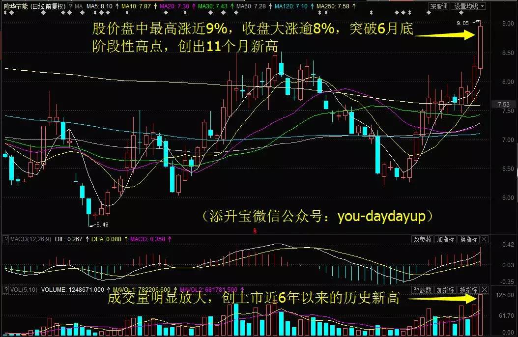 贏時勝漲停背后的原因深度解析，贏時勝漲停背后的原因深度探究