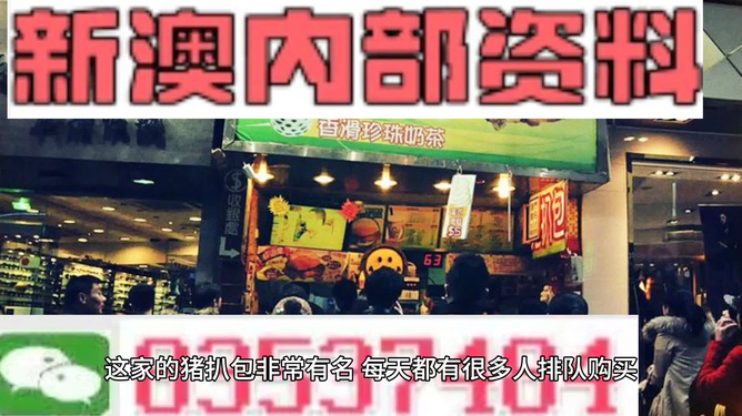 新奧天天精準(zhǔn)資料大全，探索與洞察，新奧天天精準(zhǔn)資料大全，探索與洞察的洞察