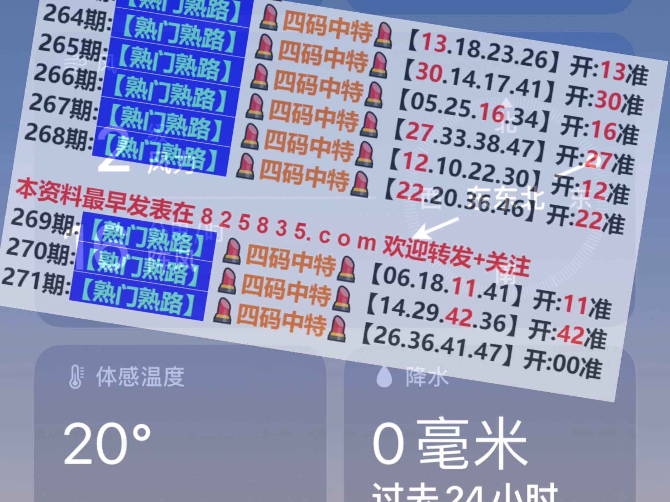 新2024澳門(mén)兔費(fèi)資料，探索與期待，探索與期待，新2024澳門(mén)兔費(fèi)資料揭秘