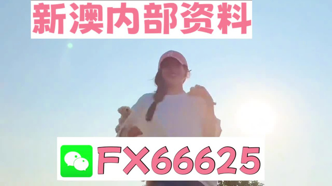 揭秘彩票背后的神秘?cái)?shù)字，精準(zhǔn)一肖與數(shù)字組合的魅力，彩票背后的神秘?cái)?shù)字揭秘，精準(zhǔn)一肖與數(shù)字組合的魅力探索