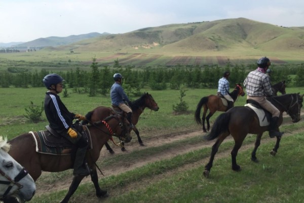 澳門特馬今晚開獎(jiǎng)，探尋彩票背后的故事與期待，澳門特馬今晚開獎(jiǎng)，探尋彩票背后的故事與期待之夜