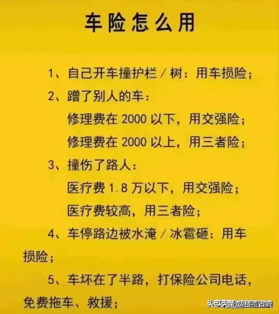 參考消息數(shù)字報，重塑新聞行業(yè)的數(shù)字化先鋒，重塑新聞行業(yè)先鋒，數(shù)字化引領(lǐng)下的參考消息數(shù)字報時代