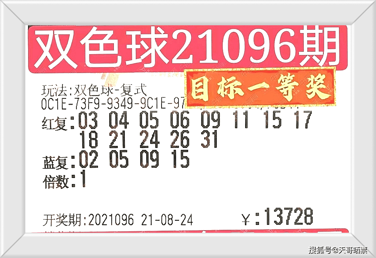 新澳門彩開獎(jiǎng)結(jié)果，探索與期待，新澳門彩開獎(jiǎng)結(jié)果揭曉，期待與探索的旅程