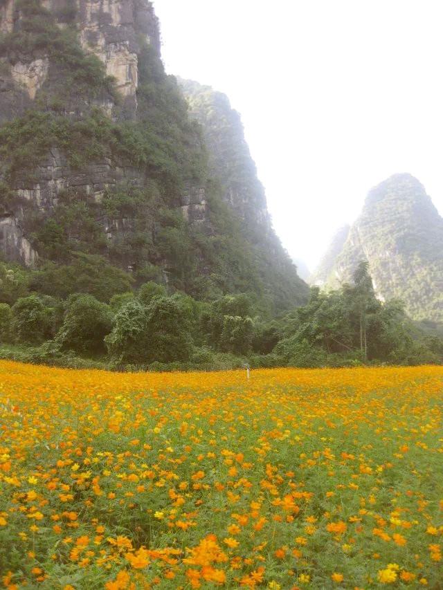 遇龍河漂流，一次難忘的水上冒險之旅，遇龍河漂流，難忘的水上冒險之旅體驗