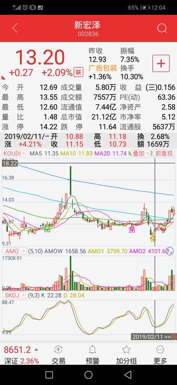 新宏澤股票，市場趨勢與投資策略分析，新宏澤股票，市場趨勢解讀與投資策略探討