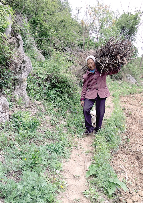 農(nóng)村中老年人征婚，尋找幸福晚年的新起點，農(nóng)村中老年征婚，晚年幸福的起點之路