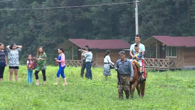 公益相親平臺，搭建愛的橋梁，助力幸福人生，公益相親平臺，搭建愛的橋梁，共創(chuàng)幸福人生之旅