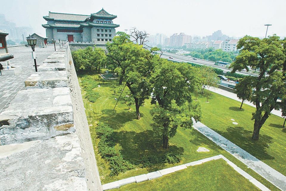 北京哪個(gè)公園最值得去，探尋城市綠肺的奧秘，探尋北京城市綠肺，哪個(gè)公園最值得一游？