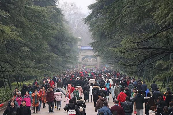 南京當?shù)芈糜螆F兩日游，深度探索古都文化，南京深度兩日游，古都文化探索之旅