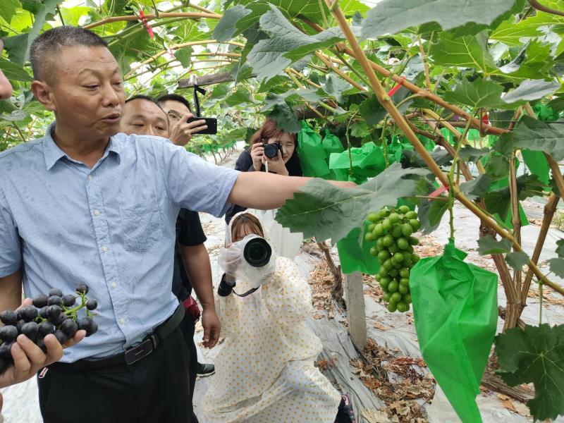 上海正規(guī)的相親網(wǎng)，連接真摯心靈的橋梁，上海正規(guī)相親網(wǎng)，真摯心靈的連接橋梁