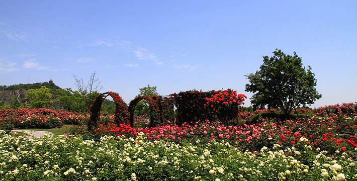 上海辰山植物園門票價(jià)格詳解，上海辰山植物園門票價(jià)格全解析