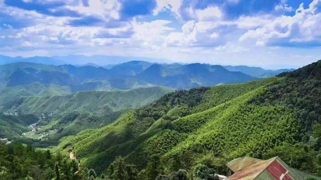 莫干山風景名勝區(qū)，自然與人文的絕美交融，莫干山風景名勝區(qū)，自然與人文的絕美交融之旅