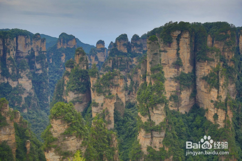 貴州自由行與跟團(tuán)游，哪種旅行方式更好？，貴州旅行，自由行還是跟團(tuán)游，哪種方式更優(yōu)選？