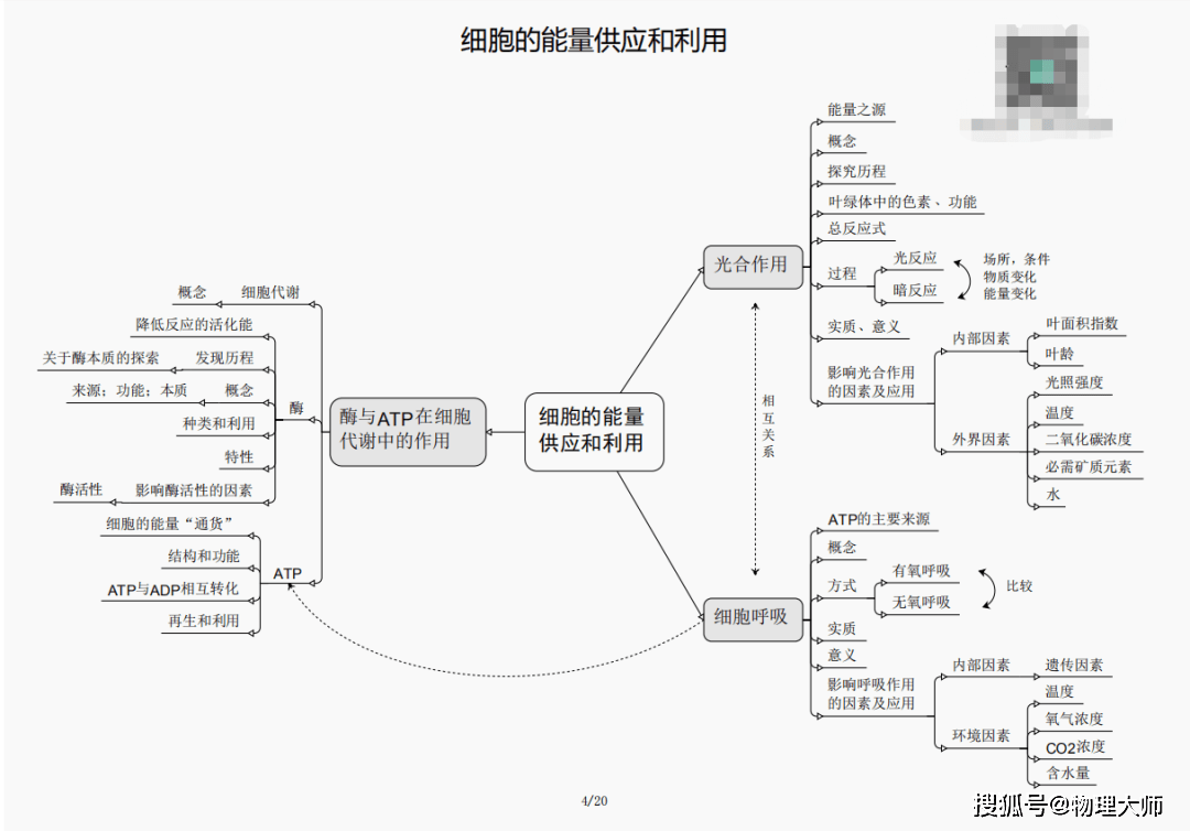 揭秘未來生肖趨勢，新澳三期2025年三生肖預測，揭秘未來生肖趨勢，新澳三期2025年生肖預測展望