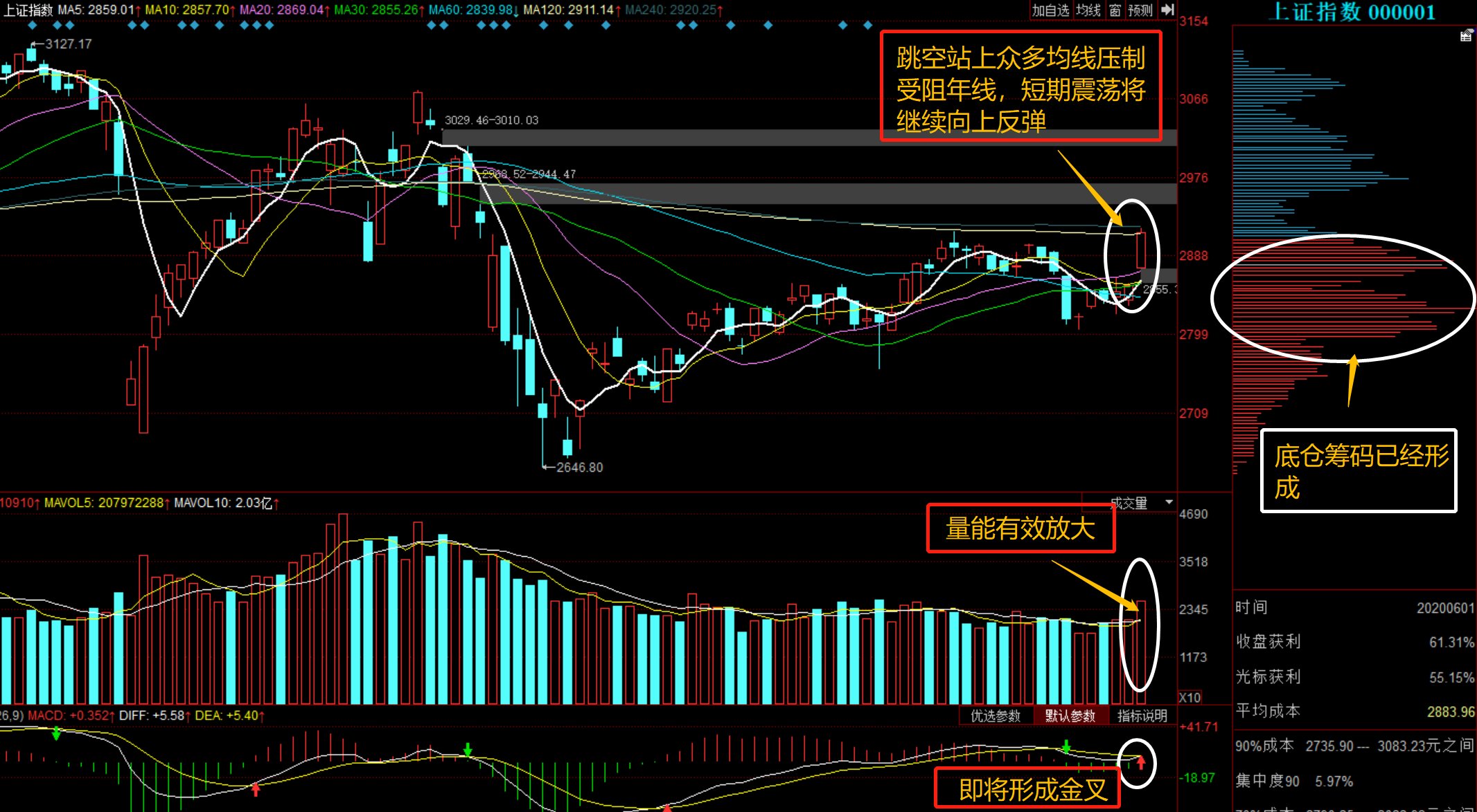 深度解析，601918股票行情，深度解析，股票行情解析與投資建議——以601918為例