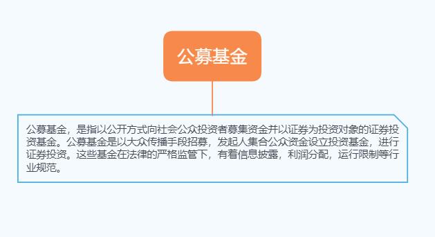 大公募與小公募，資本市場的兩大募資方式及其區(qū)別，大公募與小公募，資本市場募資方式的差異解析